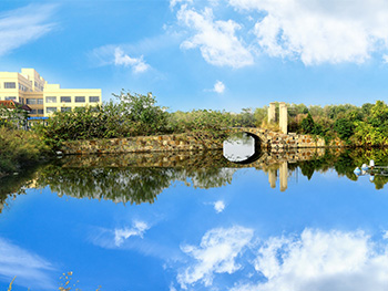 園區湖景.jpg